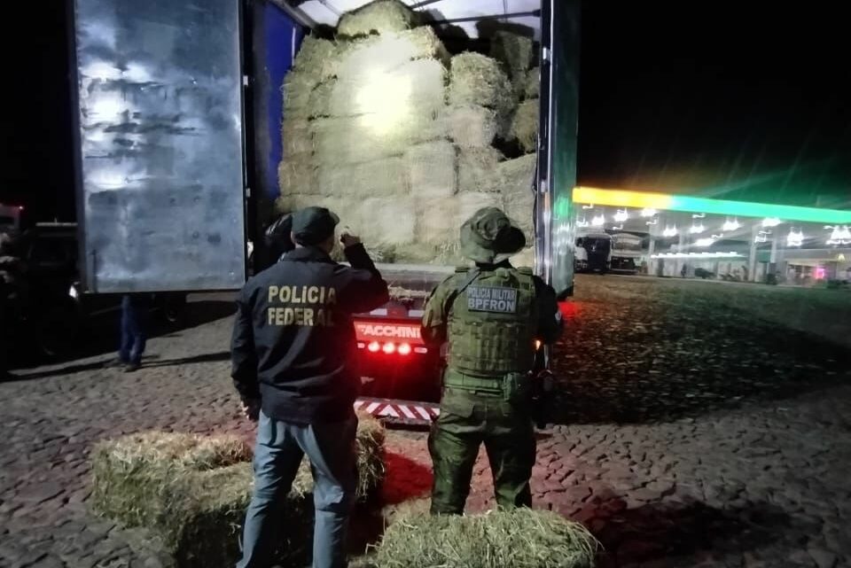 Polícia Federal e BPFRON/PR apreendem carreta carregada com feno clandestino na fronteira com a Argentina Polícia Federal e BPFRON/PR apreendem carreta carregada com feno clandestino na fronteira com a Argentina