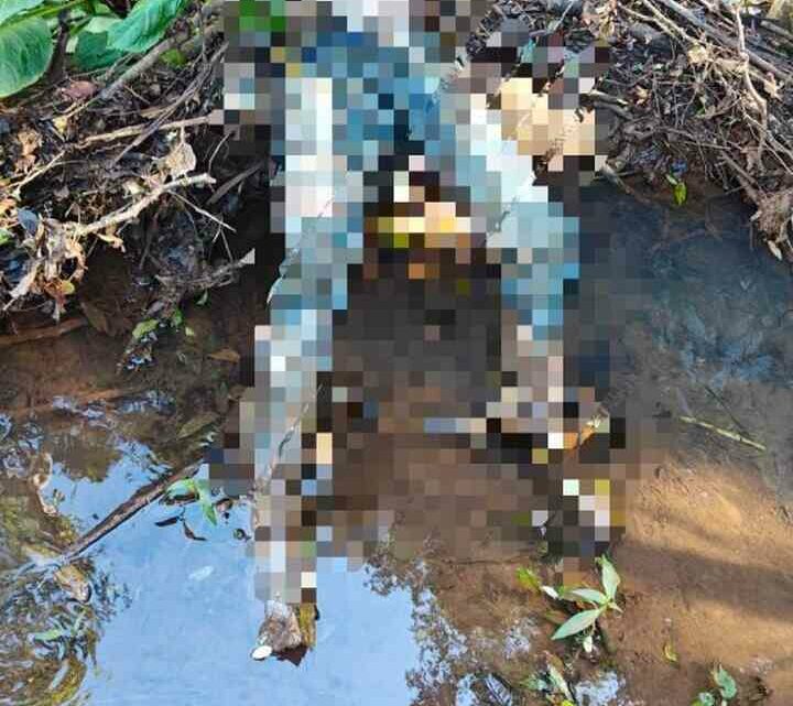 Polícia confirma identidade de corpo encontrado em rio no Oeste de SC Polícia confirma identidade de corpo encontrado em rio no Oeste de SC