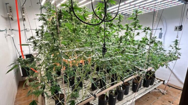 Imóvel de alto padrão servia como laboratório de drogas na capital; veja