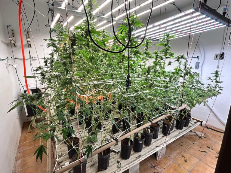 Imóvel de alto padrão servia como laboratório de drogas na capital; veja Imóvel de alto padrão servia como laboratório de drogas na capital; veja