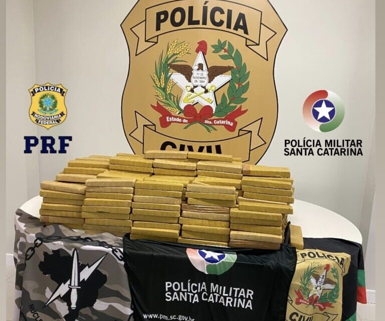 Mais de 200 kg de maconha são apreendidos em megaoperação em SC Mais de 200 kg de maconha são apreendidos em megaoperação em SC