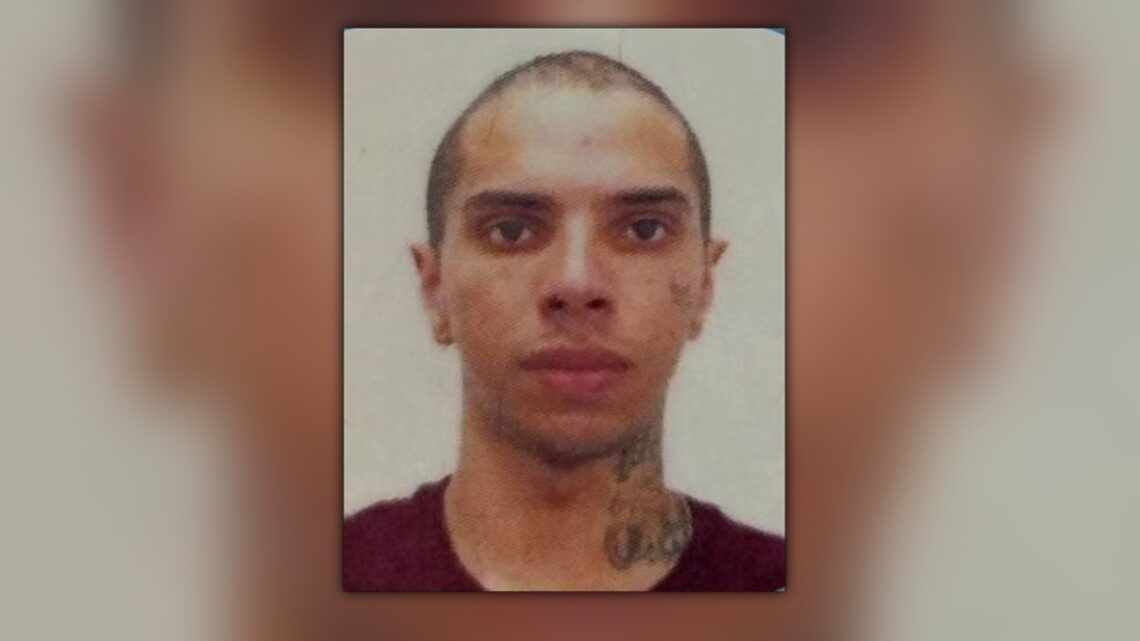 Motociclista morre em acidente com caminhão na BR-480 em SC Motociclista morre em acidente com caminhão na BR-480 em SC