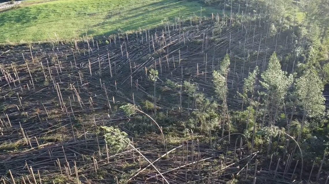 Defesa Civil confirma passagem de tornado em Passos Maia Defesa Civil confirma passagem de tornado em Passos Maia