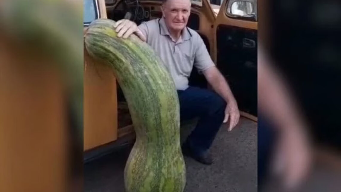 Homem colhe abobrinha gigante de mais de 70kg