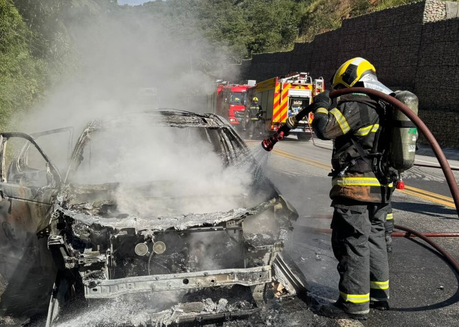 Veículo é destruído pelo fogo na BR-282