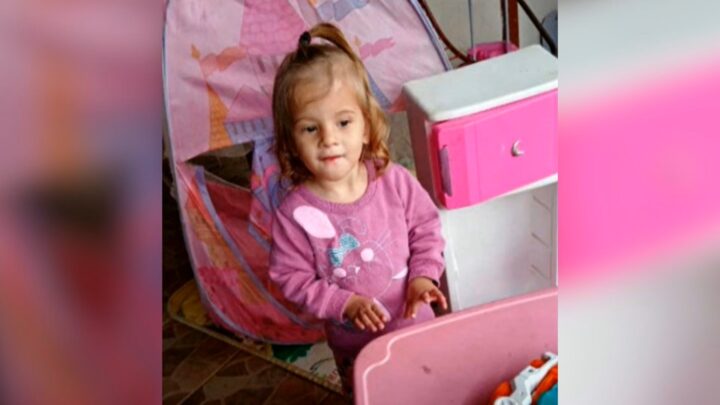Menina de dois anos morre após ser atacada por pitbull da família