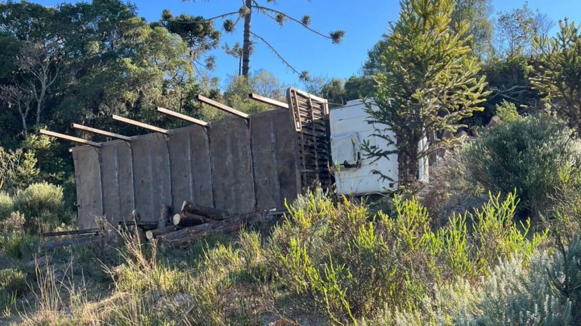 Motorista morre após caminhão cair em ribanceira na Serra de SC Motorista morre após caminhão cair em ribanceira na Serra de SC