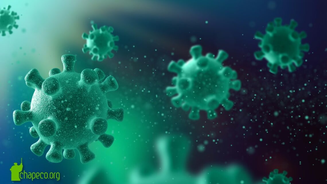 Município de SC registra três mortes por Influenza
