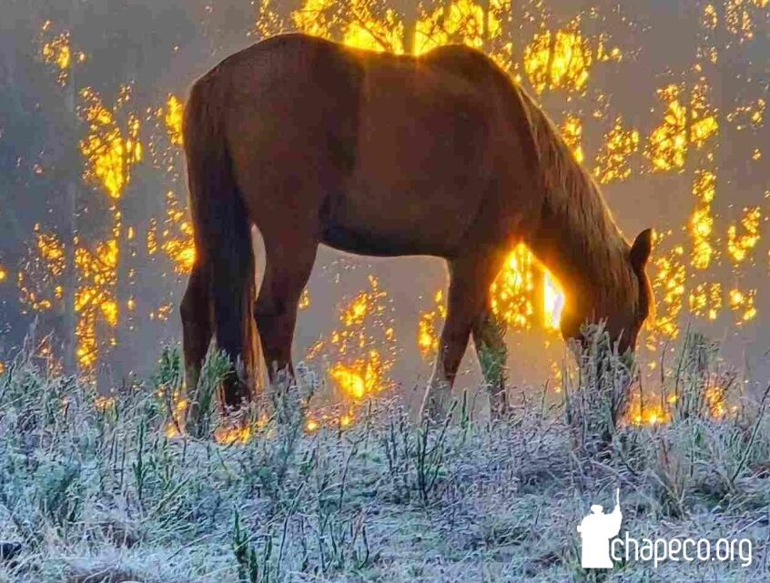 Onda de frio deve persistir até a sexta-feira, segundo a Defesa Civil