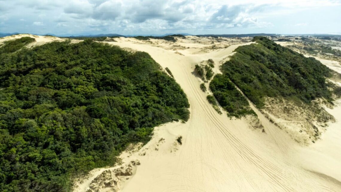 Ossos humanos são encontrados em dunas no Litoral de SC Ossos humanos são encontrados em dunas no Litoral de SC