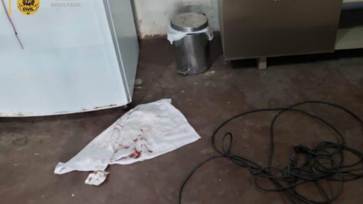 Irmãos são presos por roubo violento e ameaça a idoso em São Miguel do Oeste