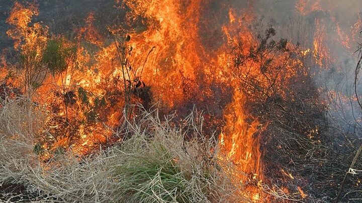 Incêndio de grandes proporções atinge área de vegetação e veículo no Oeste