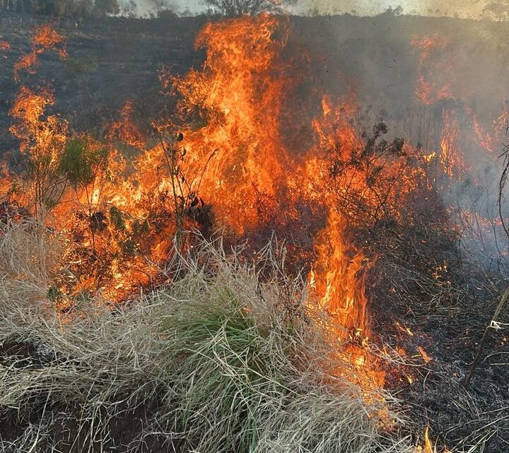 Incêndio de grandes proporções atinge área de vegetação e veículo no Oeste Incêndio de grandes proporções atinge área de vegetação e veículo no Oeste