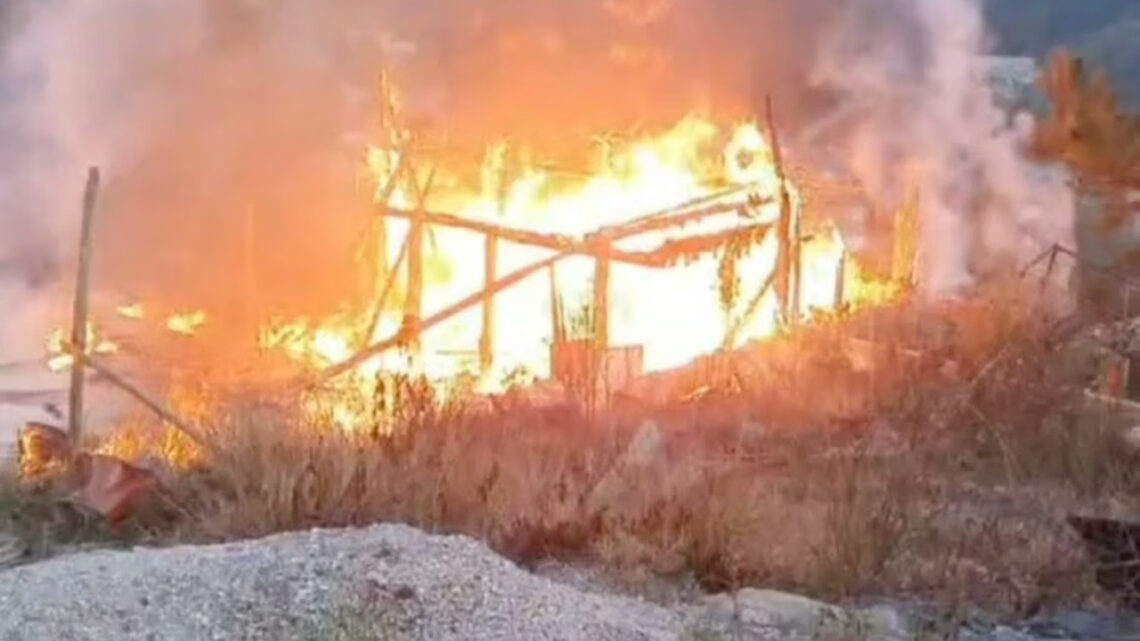 Sete animais morrem e casa fica destruída após incêndio Sete animais morrem e casa fica destruída após incêndio