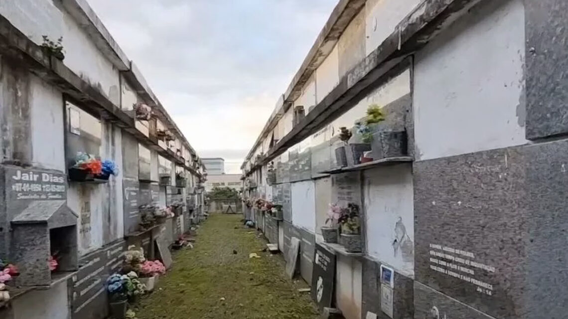 Mulher é flagrada carregando partes de cadáver pelas ruas de cidade catarinense; veja Mulher é flagrada carregando partes de cadáver pelas ruas de cidade catarinense; veja