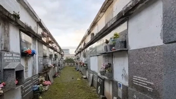 Mulher é flagrada carregando partes de cadáver pelas ruas de cidade catarinense; veja