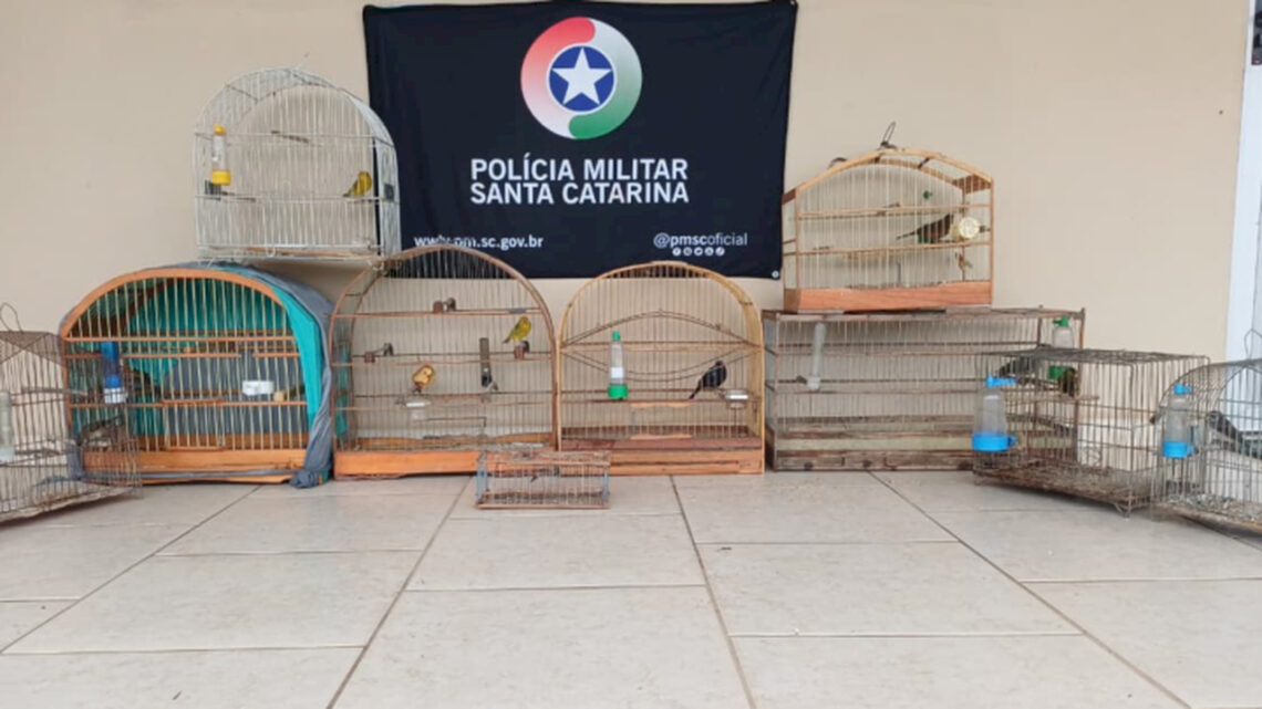 Aves mantidas em cativeiro são resgatadas em São José do Cerrito
