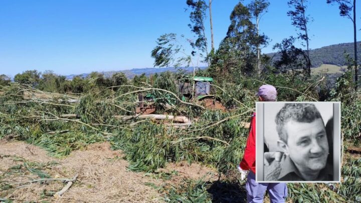 Árvore é derrubada, cai e mata idoso no interior de SC