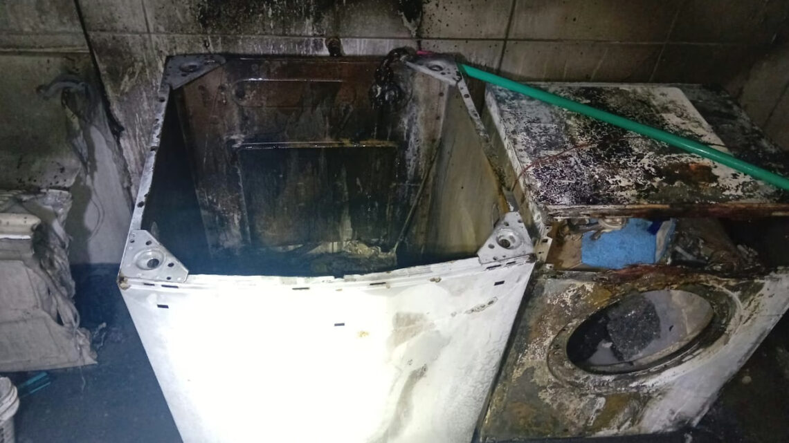 Cachorros salvam família ao perceber incêndio em máquina de lavar em SC Cachorros salvam família ao perceber incêndio em máquina de lavar em SC