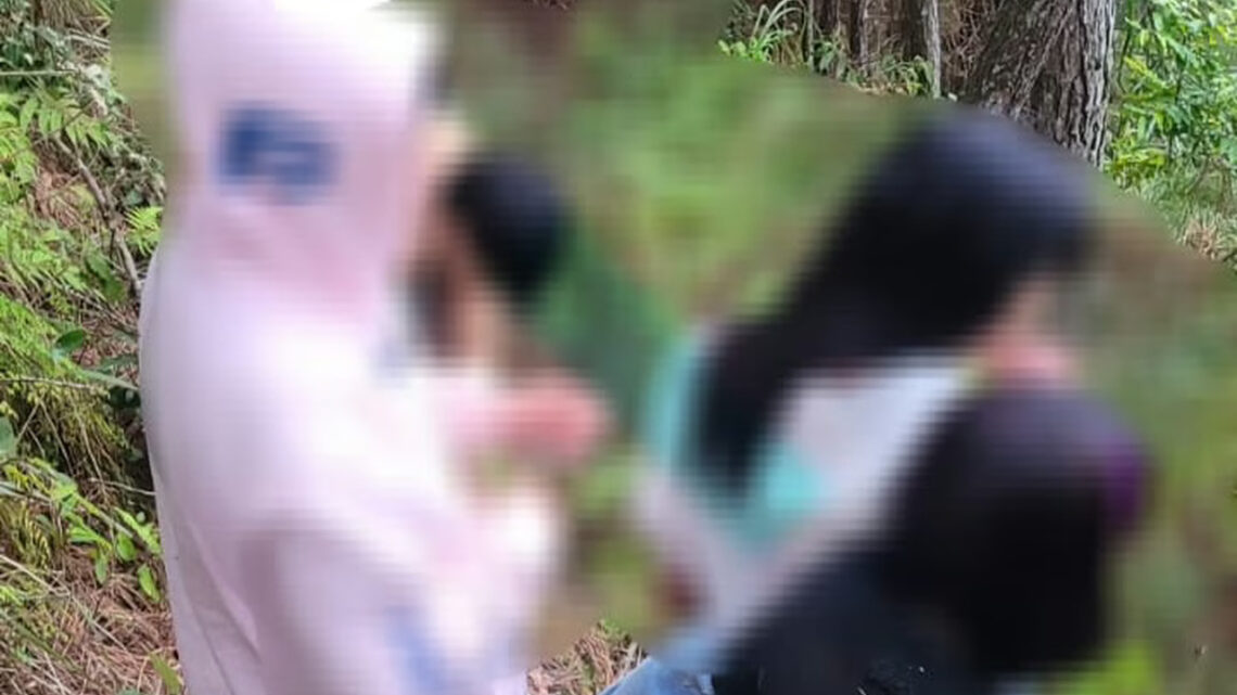 Jovens desaparecem e são encontrados após horas de busca em mata de SC