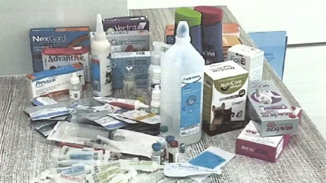 Dono de hospital veterinário é indiciado por maus-tratos a animais e medicamentos vencidos em SC Dono de hospital veterinário é indiciado por maus-tratos a animais e medicamentos vencidos em SC