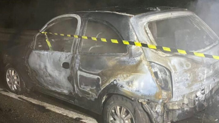 Corpo carbonizado e cápsulas de munição são encontrados na BR-116 em SC; veja o vídeo