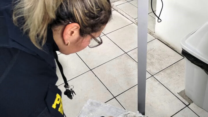 Três passageiros são presos com drogas e produtos contrabandeados em SC; veja onde
