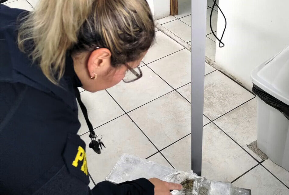 Três passageiros são presos com drogas e produtos contrabandeados em SC; veja onde Três passageiros são presos com drogas e produtos contrabandeados em SC; veja onde