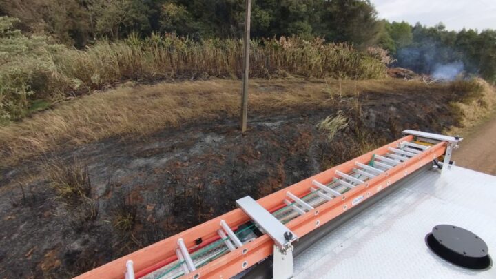 CBMSC atua em incêndio florestal e reforça ações de proteção ao meio ambiente