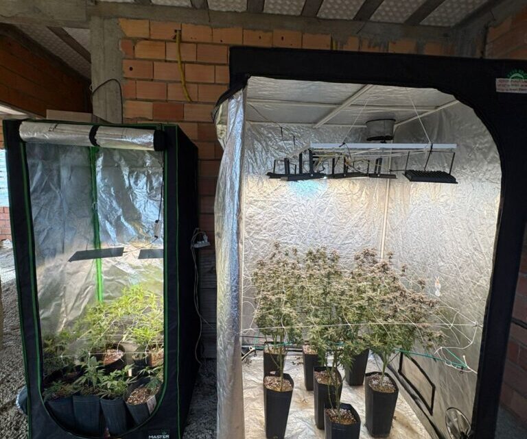 Polícia Civil desarticula laboratório para produção de drogas em Blumenau e prende em flagrante homem que se intitulava “terapeuta canábico”