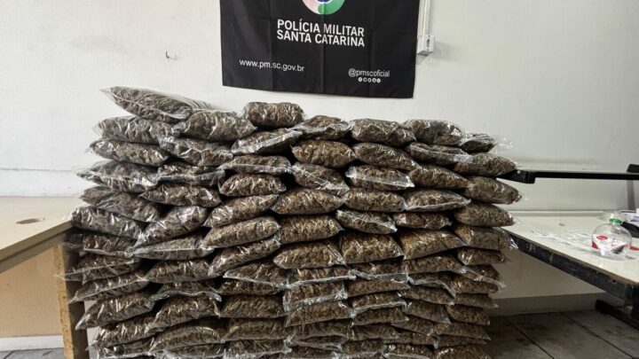 Quase 100 kg de skunk são apreendidos no Sul do estado; veja o vídeo