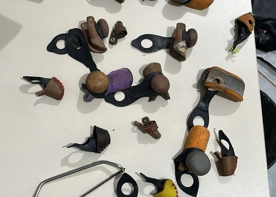 Polícia Civil apreende arma de fogo, munições e materiais utilizados em rinha de galo no oeste SC Polícia Civil apreende arma de fogo, munições e materiais utilizados em rinha de galo no oeste SC