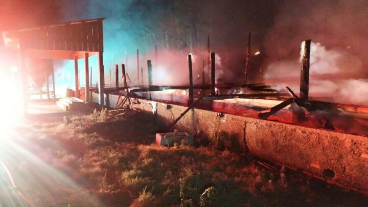 Chiqueiro de porcos é tomado por incêndio no Oeste de SC