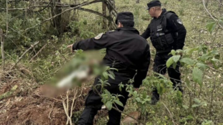 Corpo de moradora de SC é encontrado na Argentina com sinais de violência