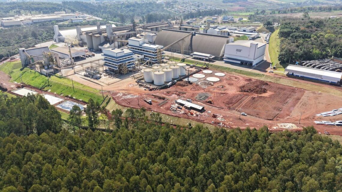 Cooperalfa inicia construção de usina de biodiesel