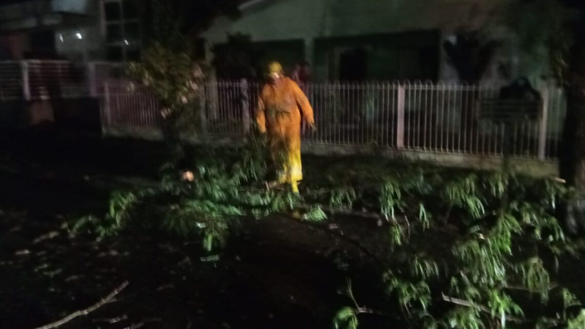 Vídeo: fortes chuvas provocam queda de árvore e alagamentos em Cunha Porã