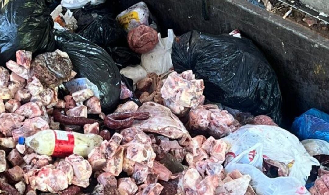 Força-tarefa apreende mais de 500 kg de alimentos impróprios em Chapecó Força-tarefa apreende mais de 500 kg de alimentos impróprios em Chapecó