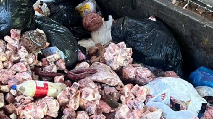 Força-tarefa apreende mais de 500 kg de alimentos impróprios em Chapecó