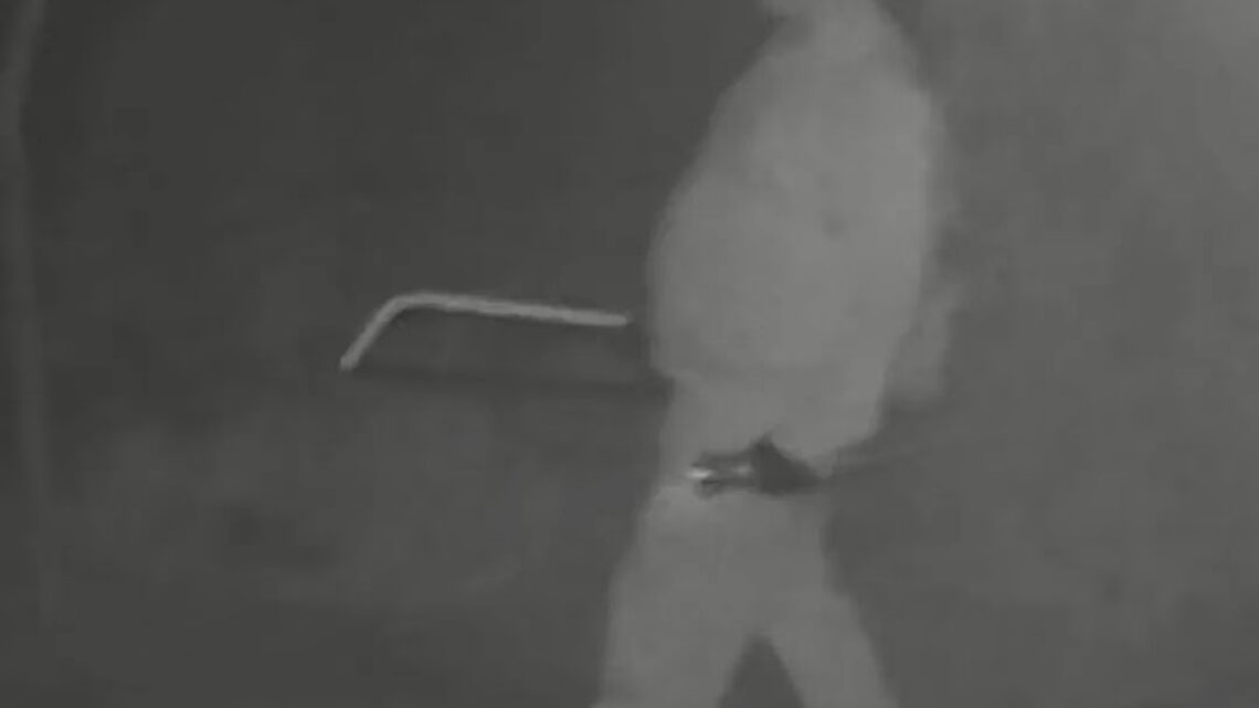 Polícia fecha frigorífico clandestino e prende suspeitos de furto de gado em SC Polícia fecha frigorífico clandestino e prende suspeitos de furto de gado em SC