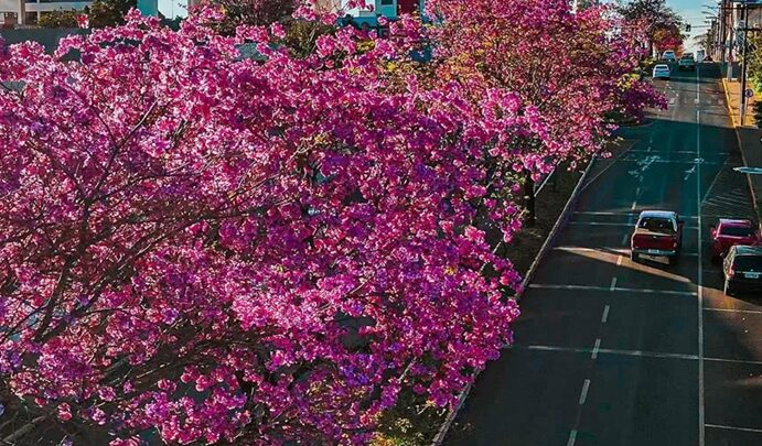 Primavera começa com chuva intensa, rajadas de vento e friagem