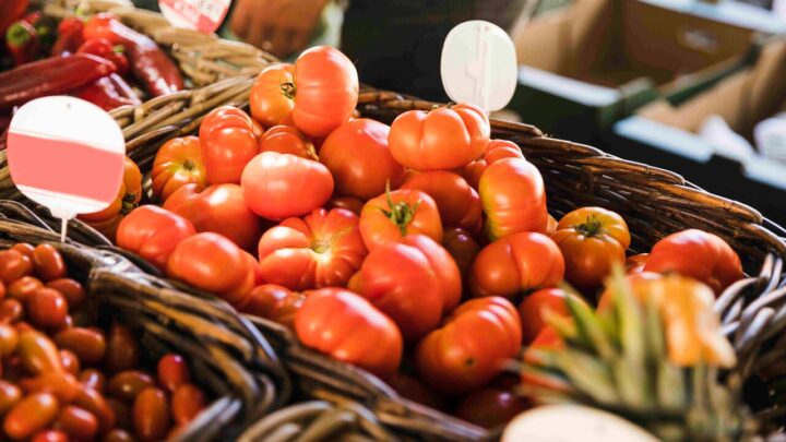 Tomate, cebola e batata puxam queda de preços no cesto básico em Chapecó