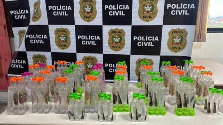 Polícia Civil intercepta carregamento de lança perfume proveniente do Rio de Janeiro