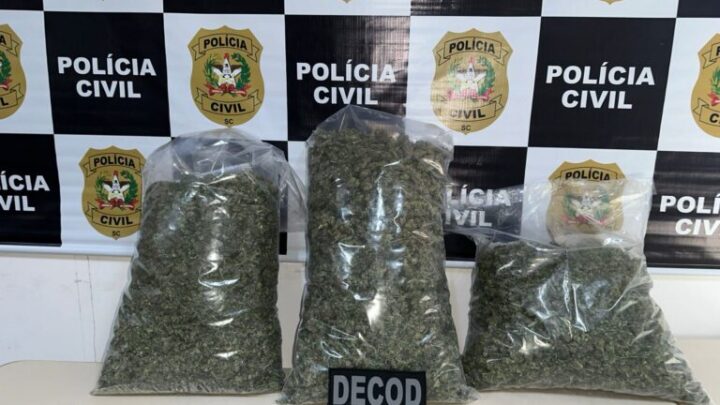Polícia Civil prende homem em flagrante por tráfico de drogas em Palhoça e apreende 4 quilos de skunk