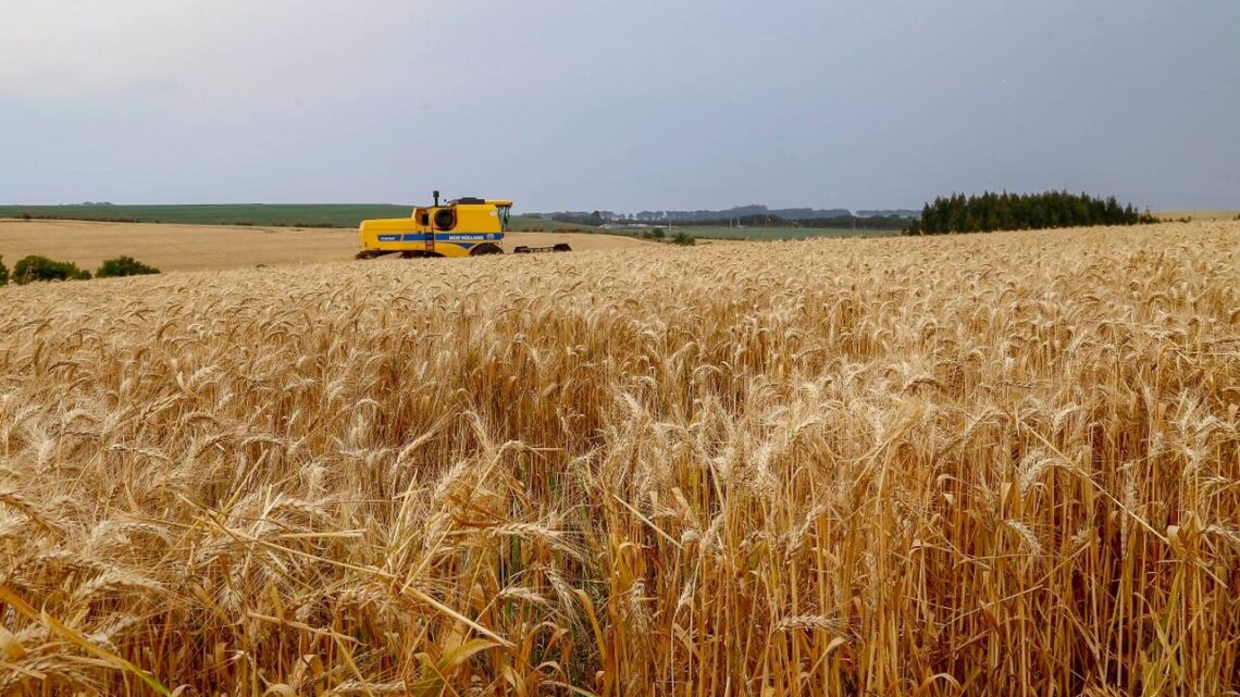 Primavera com La Niña: produtores rurais precisam redobrar cuidados, alerta especialista