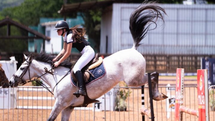 Efapi do Brasil: Orgulho e paixão pelo hipismo estiveram presente nas competições
