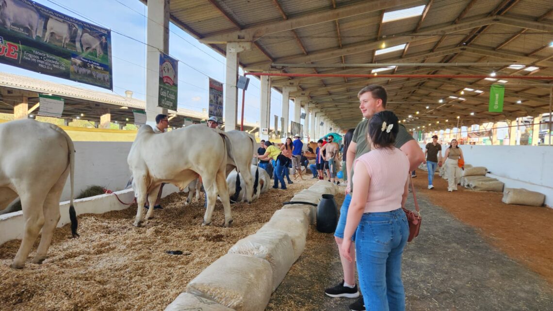 Efapi do Brasil: avaliação do Agronegócio confirma saldo positivo e alto nível técnico Efapi do Brasil: avaliação do Agronegócio confirma saldo positivo e alto nível técnico