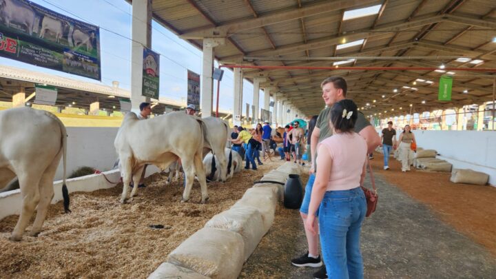 Efapi do Brasil: avaliação do Agronegócio confirma saldo positivo e alto nível técnico