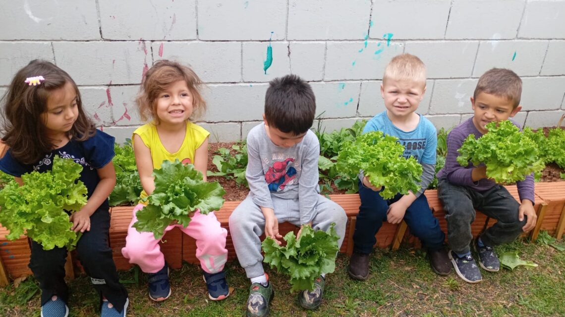 Crianças do Cemei Criança Feliz colhem alfaces cultivadas no projeto “Alimentação Saudável” Crianças do Cemei Criança Feliz colhem alfaces cultivadas no projeto “Alimentação Saudável”