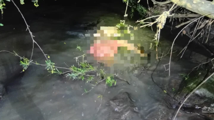 Corpo de homem é encontrado boiando em rio de SC