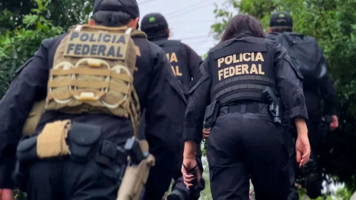 Polícia Federal desarticula rede de distribuição ilegal de ‘cogumelos mágicos’ em SC Polícia Federal desarticula rede de distribuição ilegal de ‘cogumelos mágicos’ em SC